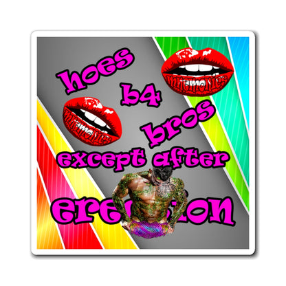 hoes b4 bros - Magnets - (rainbow split)