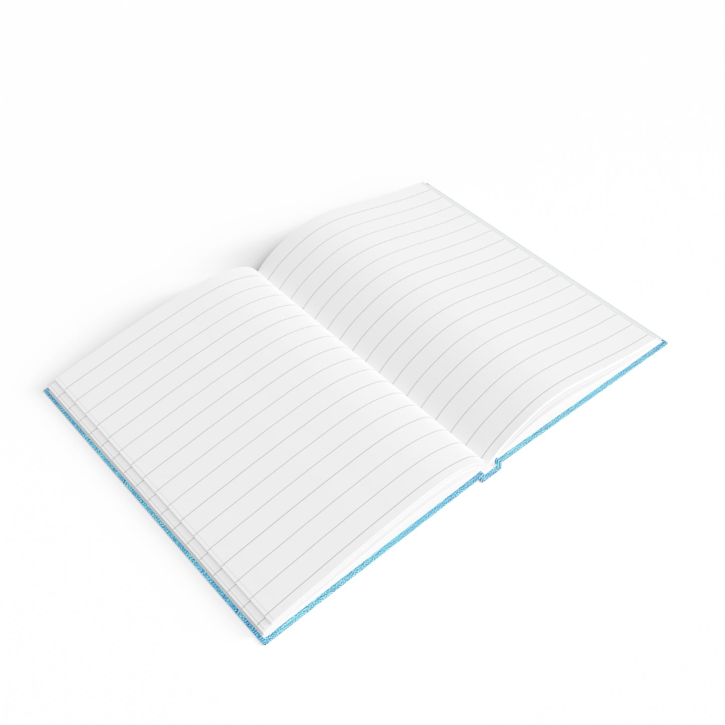 turtle race - journal-lined (faded blue)
