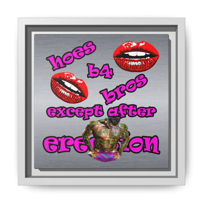 hoes b4 bros - framed canvas art (brushed nickel)