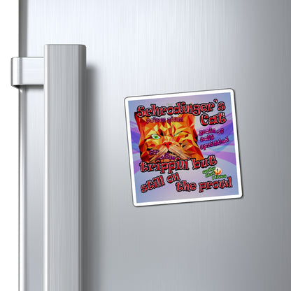 schrodinger's cat - Magnets - (light blue-pink wave)