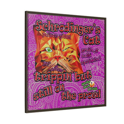 schrodinger's cat - framed canvas art (pink swirl)