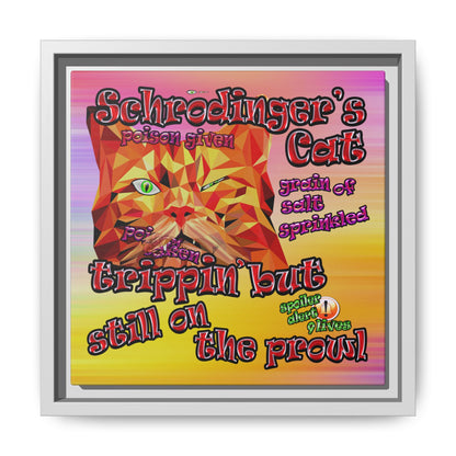 schrodinger's cat - framed canvas art (color blur)