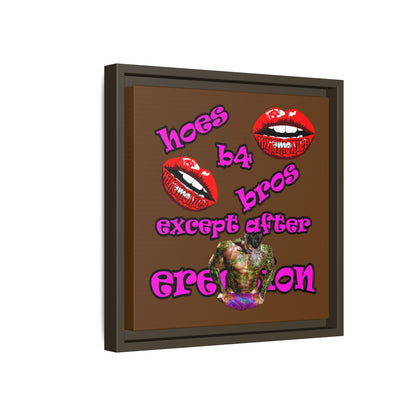 hoes b4 bros - framed canvas art (brown)