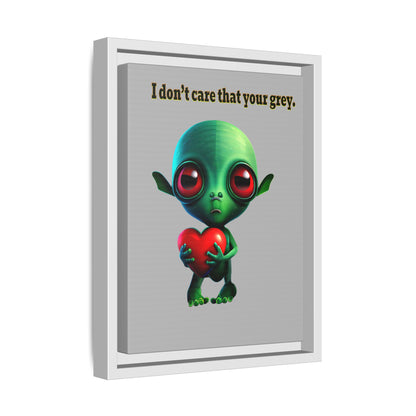 I don't care that your grey - framed canvas art (light grey)