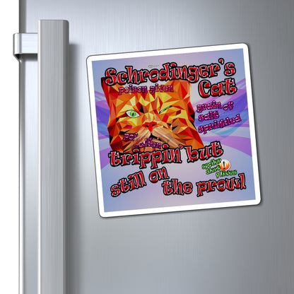 schrodinger's cat - Magnets - (light blue-pink wave)