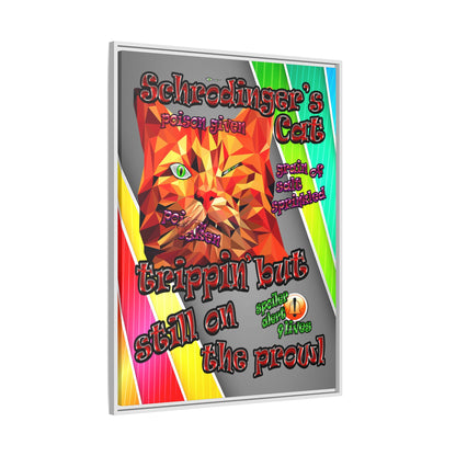 schrodinger's cat - framed canvas art (rainbow split)