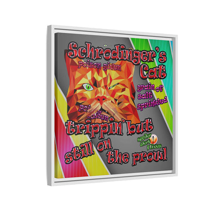 schrodinger's cat - framed canvas art (rainbow split)