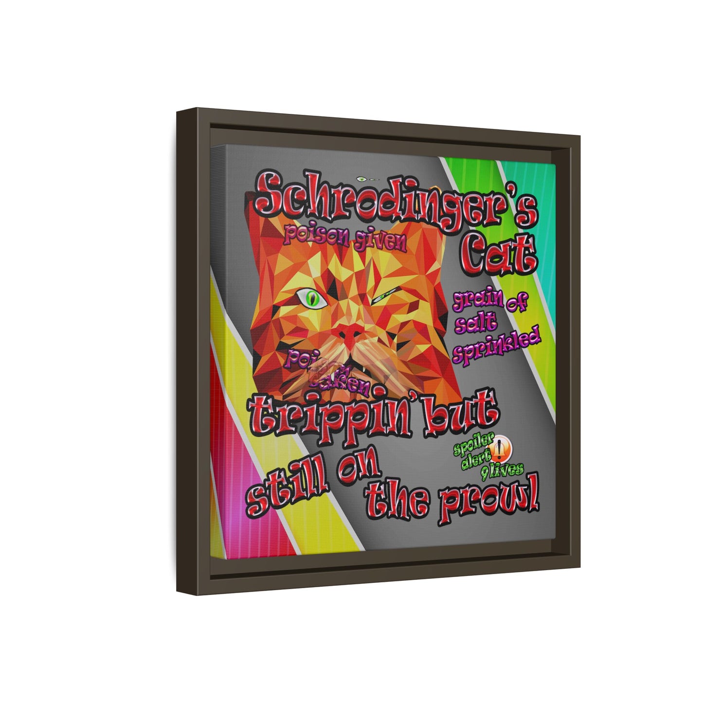 schrodinger's cat - framed canvas art (rainbow split)