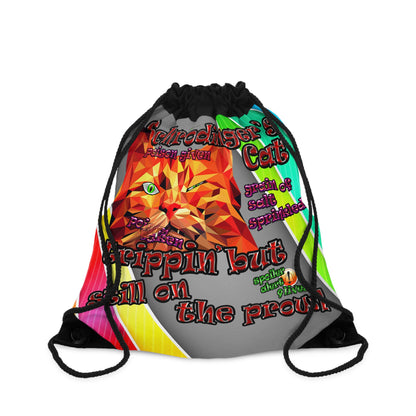 schrodinger's cat - Drawstring Bag (rainbow split)