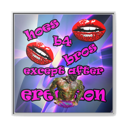 hoes b4 bros - framed canvas art (grey-pink wave)
