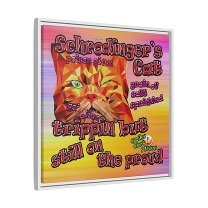 schrodinger's cat - framed canvas art (color blur)