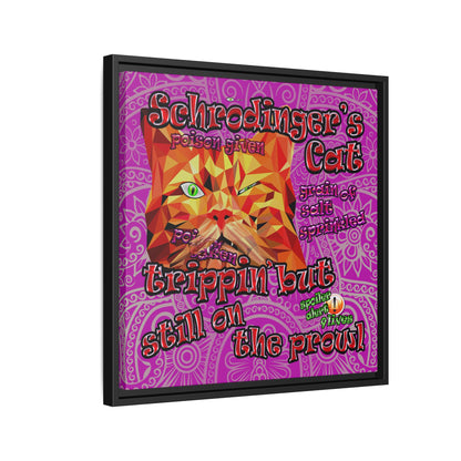 schrodinger's cat - framed canvas art (pink swirl)