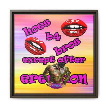 hoes b4 bros - framed canvas art (color blur)