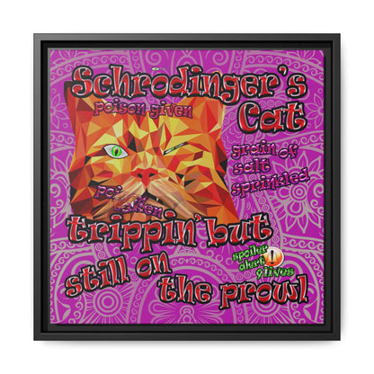 schrodinger's cat - framed canvas art (pink swirl)
