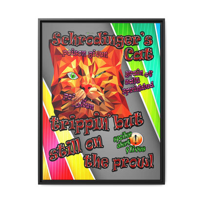 schrodinger's cat - framed canvas art (rainbow split)