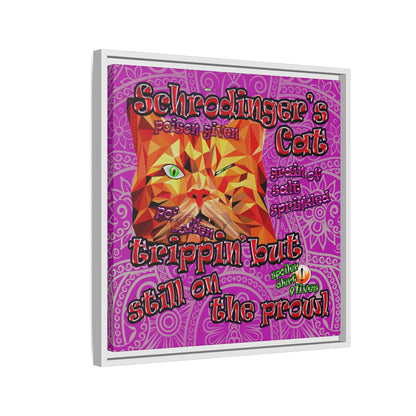 schrodinger's cat - framed canvas art (pink swirl)