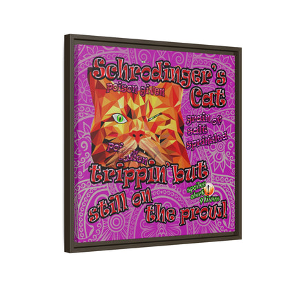 schrodinger's cat - framed canvas art (pink swirl)