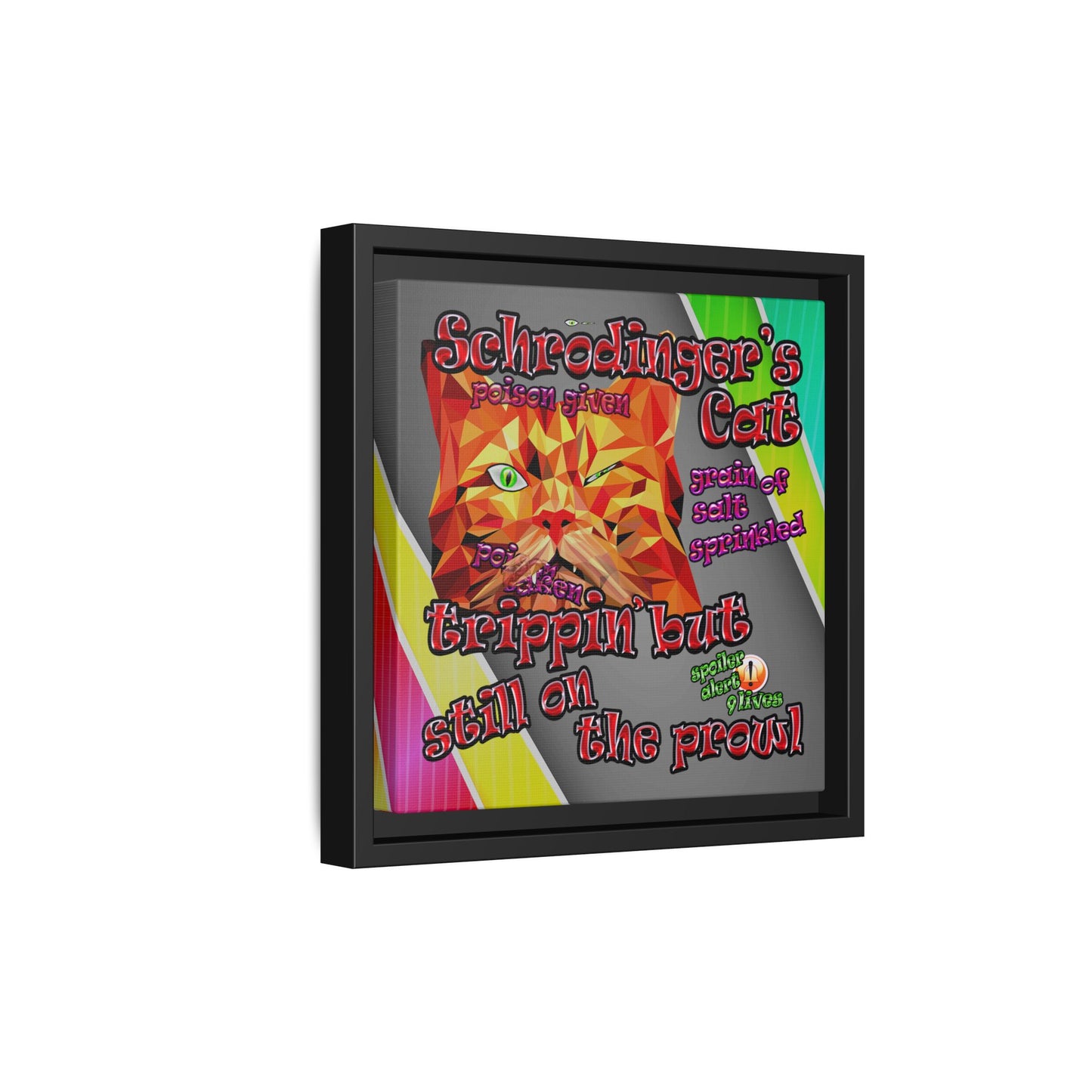 schrodinger's cat - framed canvas art (rainbow split)