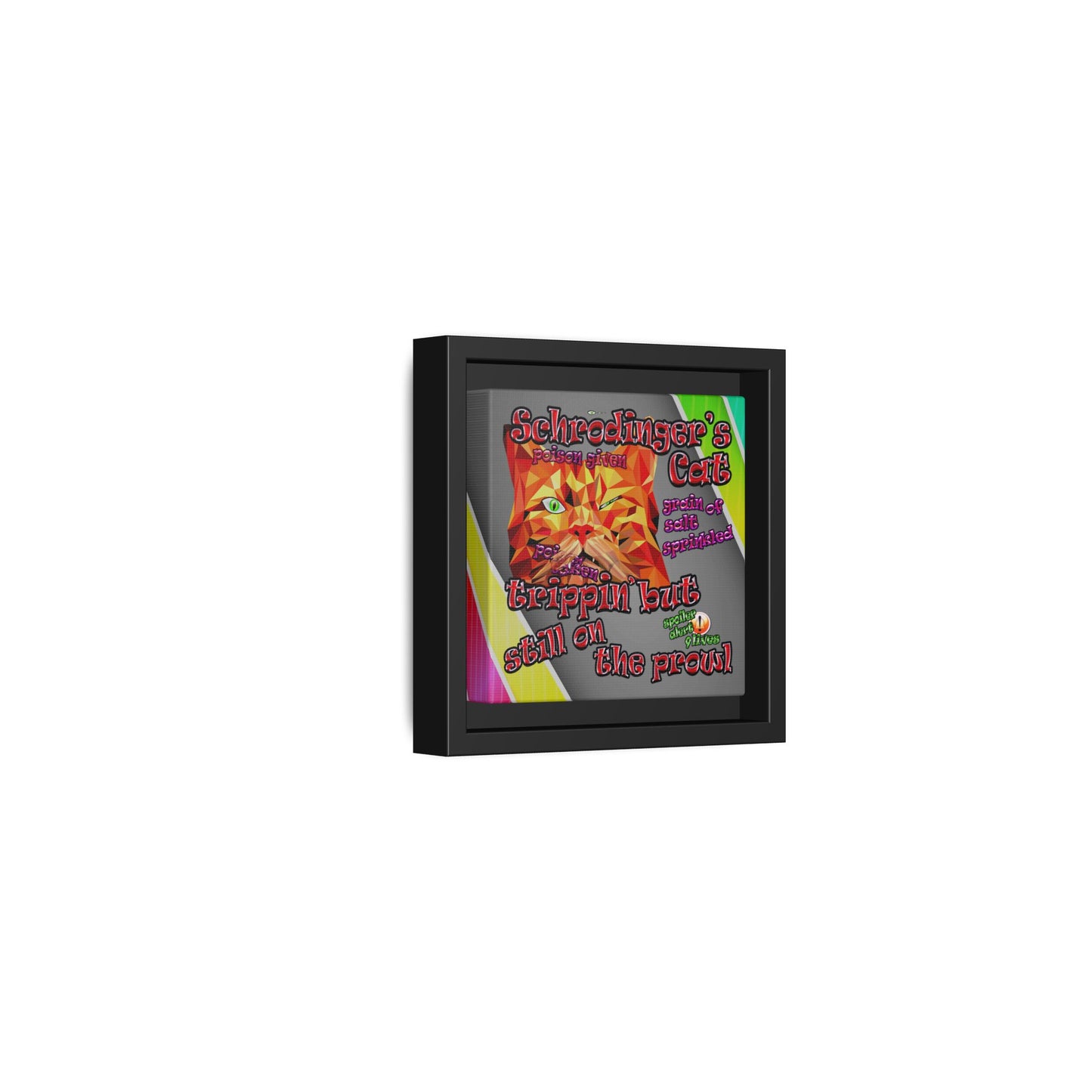 schrodinger's cat - framed canvas art (rainbow split)