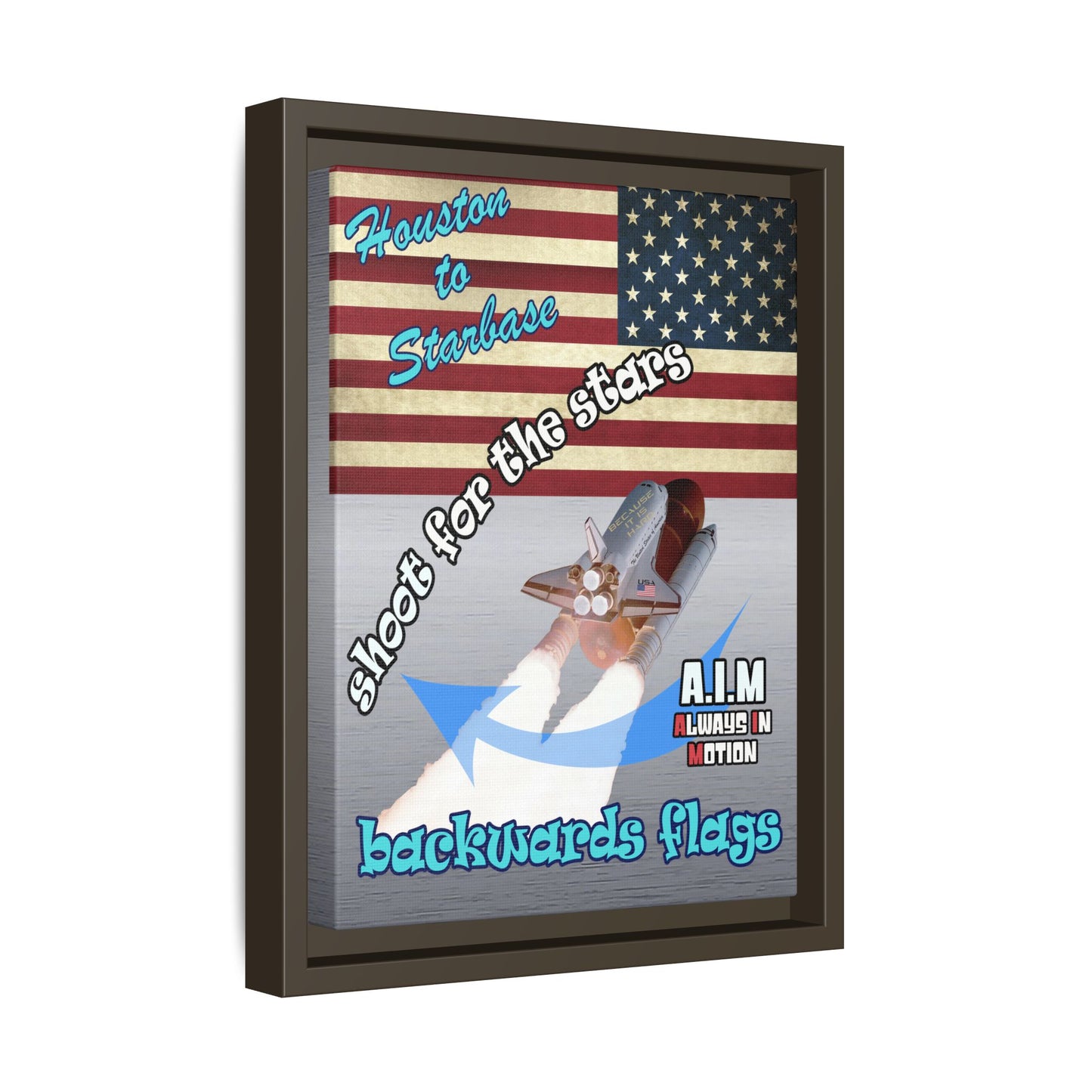 shoot for the stars - framed canvas art (brushed nickel)
