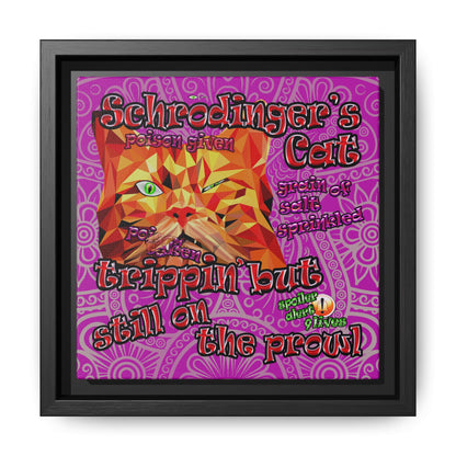 schrodinger's cat - framed canvas art (pink swirl)