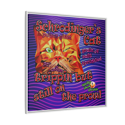 schrodinger's cat - framed canvas art (purple wave)