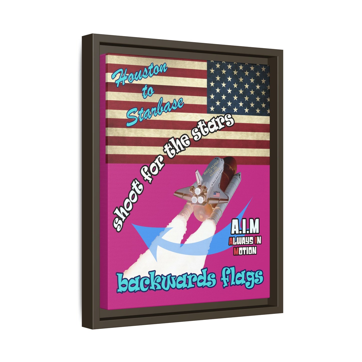 shoot for the stars - framed canvas art (pink)