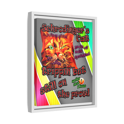 schrodinger's cat - framed canvas art (rainbow split)