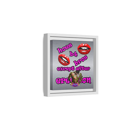 hoes b4 bros - framed canvas art (brushed nickel)