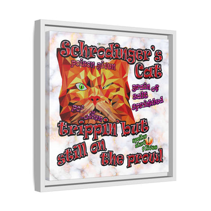 schrodinger's cat - framed canvas art (white marble)