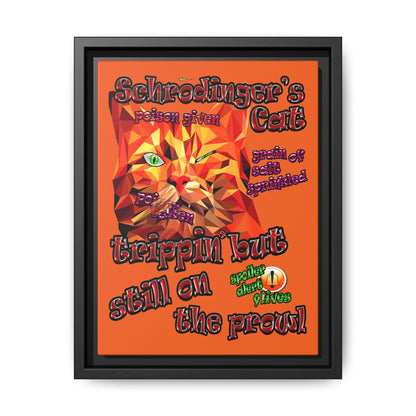 schrodinger's cat - framed canvas art (orange)