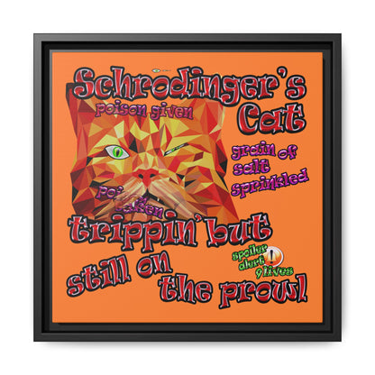schrodinger's cat - framed canvas art (crusta)