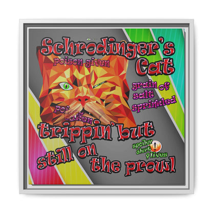 schrodinger's cat - framed canvas art (rainbow split)