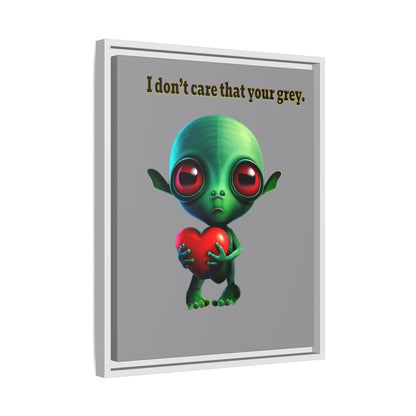 I don't care that your grey - framed canvas art (grey)