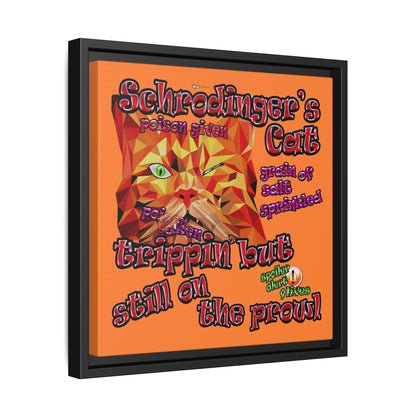 schrodinger's cat - framed canvas art (crusta)