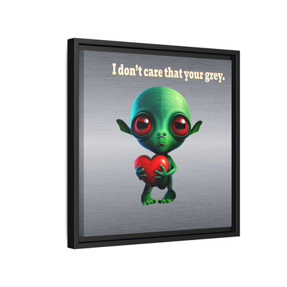 I don't care that your grey - framed canvas art (brushed nickel)