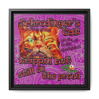 schrodinger's cat - framed canvas art (pink swirl)