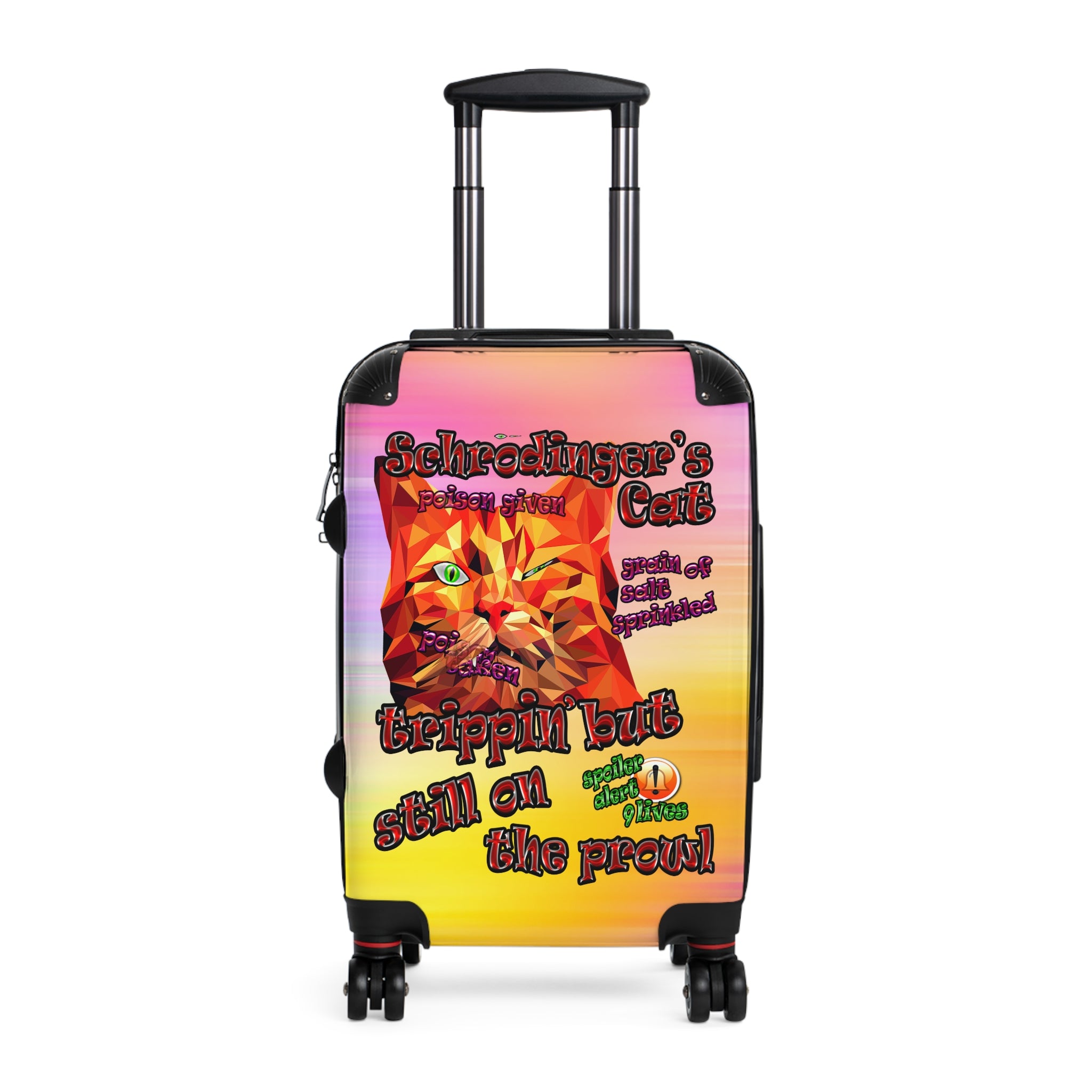 schrodinger's cat - suitcase (color blur)