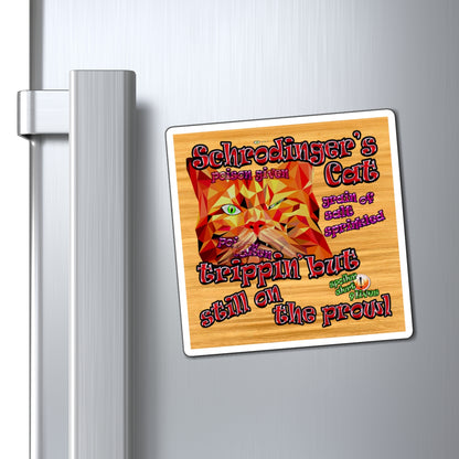 schrodinger's cat - Magnets - (butterscotch wood finish)