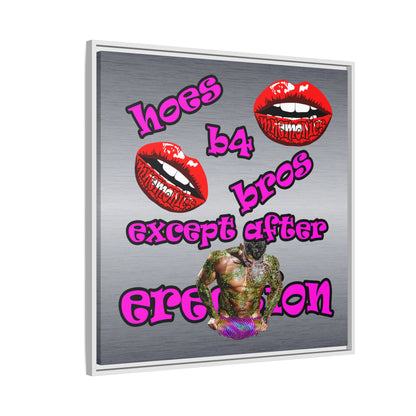 hoes b4 bros - framed canvas art (brushed nickel)