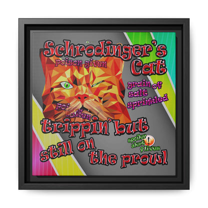 schrodinger's cat - framed canvas art (rainbow split)