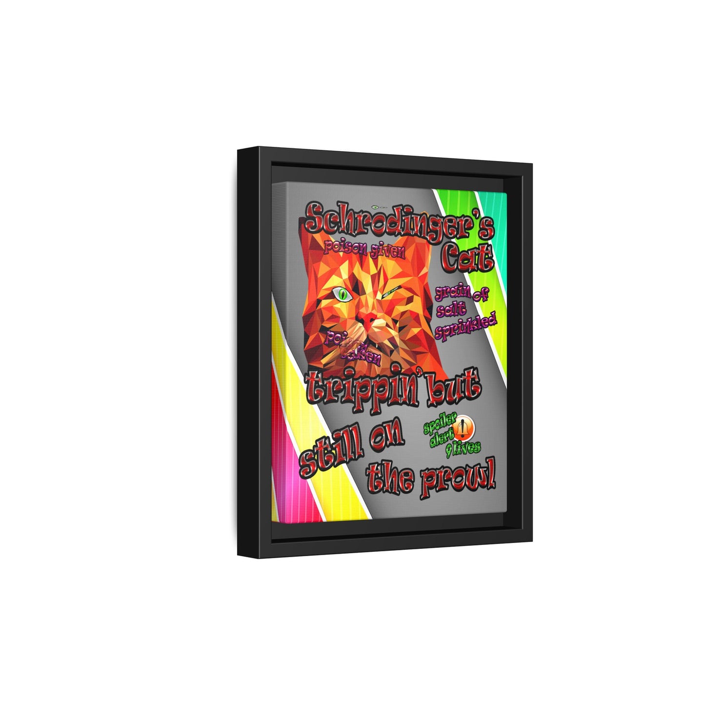 schrodinger's cat - framed canvas art (rainbow split)