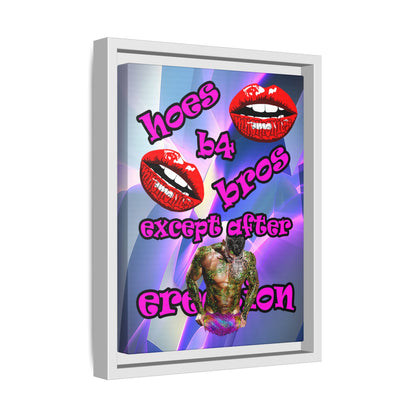 hoes b4 bros - framed canvas art (grey-pink wave)